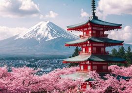 ELEGANT JAPONYA & GÜNEY KORE Türk Hava Yolları ile 6 Gece