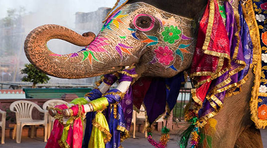 ELEGANT HİNDİSTAN ALTIN ÜÇGEN Türk Hava Yolları ile 5 Gece