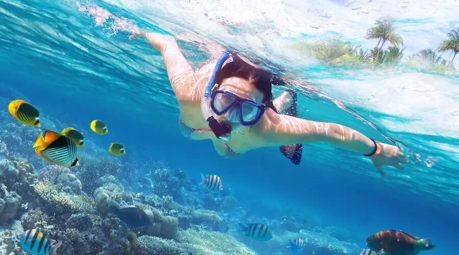 MAXI HER ŞEY DAHİL SHARM EL SHEIKH TURU Pegasus Havayolları ile 5 gece (Vizesiz)  Pegasus Havayolları Tarifeli Seferleri ile…(Anadolu’dan ve Kıbrıs’tan Bağlantı İmkanı) (4* PARROTEL AQUA PARK RESORT vb. Standart Oda – MAXI HERŞEY DAHİL)