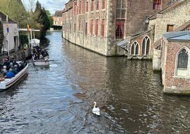 Benelux & Paris İkonları Turu Türk Hava Yolları İle